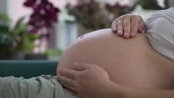 Mujer embarazada acariciando el vientre de cerca en previsión de una nueva vida - Metraje, vídeo
