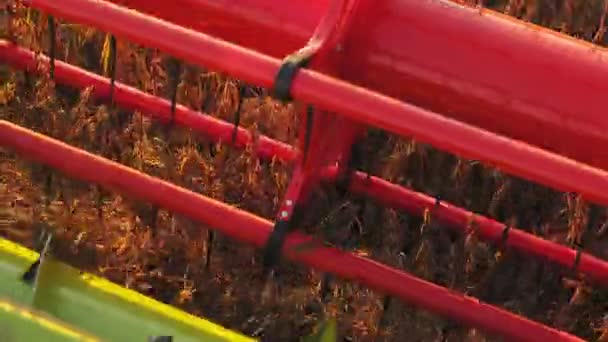 成熟した金の作物を収穫するためのコンバイン機械のクローズアップビュー. 農業機械のための共通の色の赤および緑のトラクター. 刃が付いている機械部品. - 映像、動画