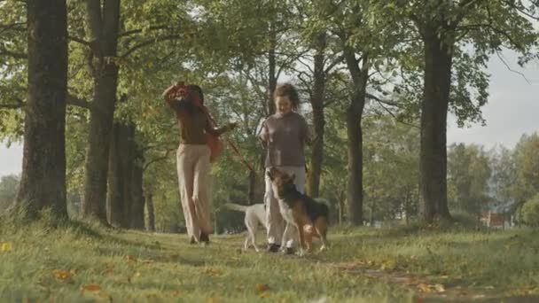 Πλήρης εικόνα δύο νεαρών όμορφων πολυεθνικών φίλων με τα σκυλιά τους να περπατούν κατά μήκος του θερινού πάρκου τη μέρα και να συζητούν. - Πλάνα, βίντεο