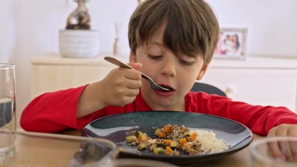 Маленький мальчик ест сытные блюда из нутриентов, риса, мяса и овощей - Кадры, видео