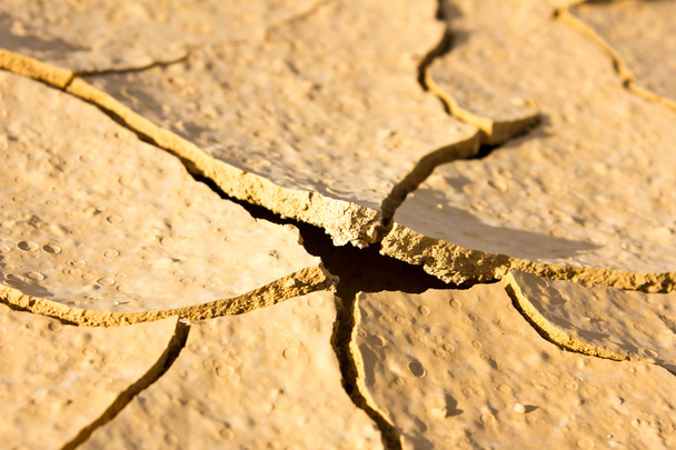 Close up  dry cracked ground - Photo, Image