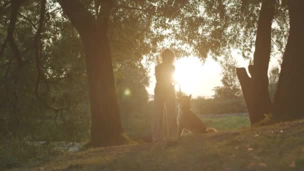 Plan ralenti complet de la jeune femme en promenade avec son chien dans la belle forêt verte au coucher du soleil - Séquence, vidéo