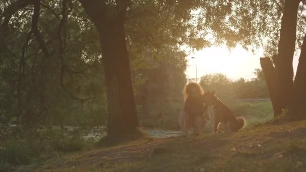 Täyspitkä hidas kuva nuoresta valkoihoisesta naisomistajasta ja hänen sekarotuisesta koirastaan kävelemässä ja treenaamassa kesämetsässä auringonlaskun aikaan - Materiaali, video
