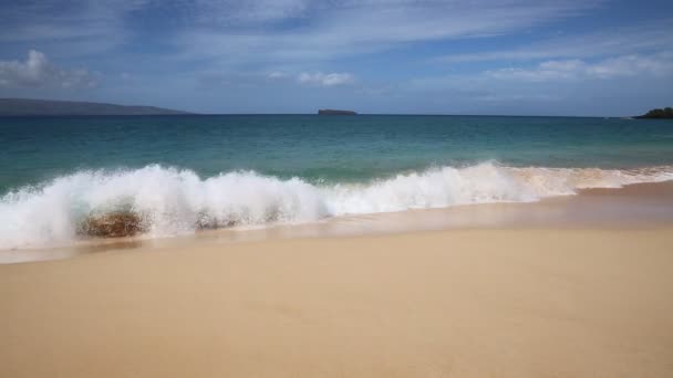 Las olas del océano inundan la playa
 - Metraje, vídeo