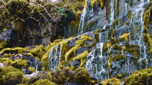 Cascades water siert een rotswand bedekt met groen. - Video