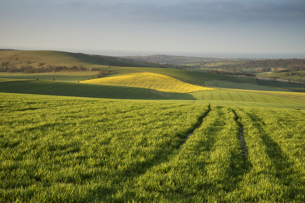 Spring morning over vibrant agricultural landscape in Englsh cou - Photo, Image