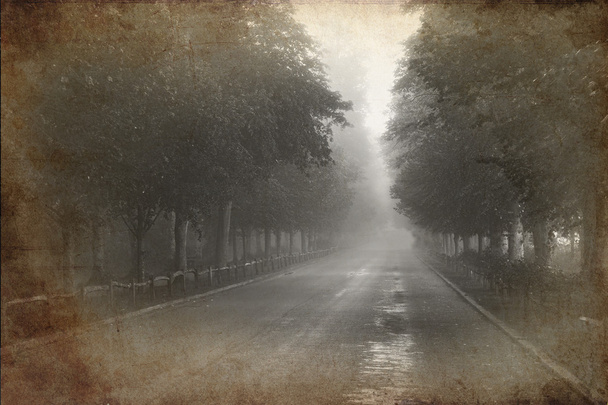 Foto de efecto grunge retro de la avenida arbolada con niebla y mi
 - Foto, Imagen
