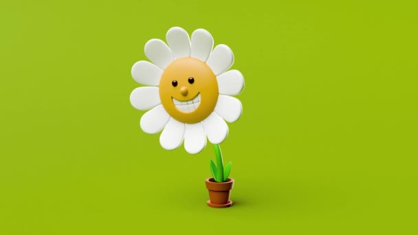 Cute happy cartoon flower in a pot swinging on green background 3d looping animation - Footage, Video