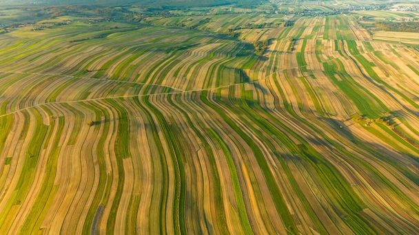 Drone πανοραμική θέα του αγροκτήματος υπαίθρου με συγκομιδή στο χωριό Suloszowa, Κρακοβία County, Πολωνία - Φωτογραφία, εικόνα