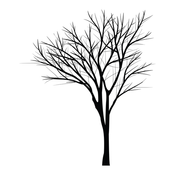 Bäume mit abgestorbenen Ästen - Vektor, Bild