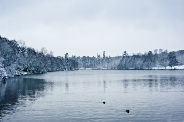 Зимовий пейзаж озеро
 - Фото, зображення