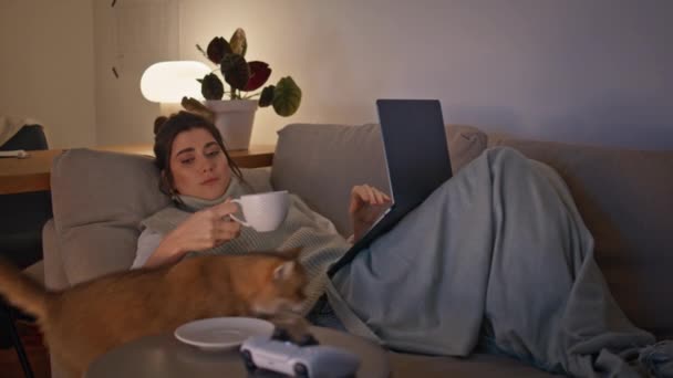 Domestic brunette drinking coffee cup lying sofa with laptop at evening room. Happy smiling woman looking at cute cat stroking pet tail at late night home. Young woman using notebook chilling couch - Footage, Video
