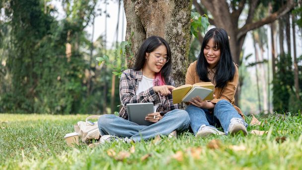 Two happy young Asian female college students are sitting under the tree, talking, sharing their ideas, and studying together in the campus park. friendship and university life concepts - Photo, Image