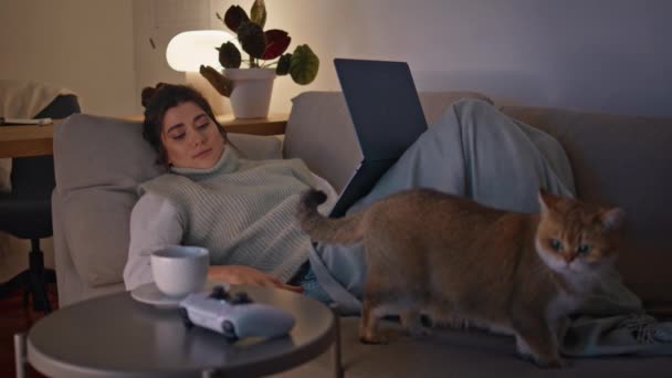 夜の部屋でラップトップを見ているソファーに横たわるブルネットを冷やします. ハッピー笑顔の女性は,深夜の自宅でかわいい猫を見ているスマートフォン通知をチェックしています. ノートブック休憩ソファー単独を使用する若い女性 - 映像、動画