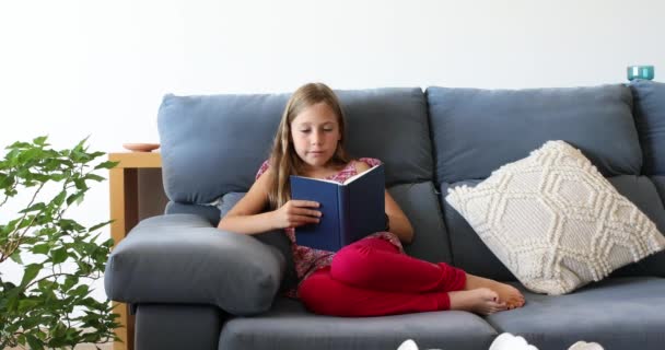 Κορίτσι κάθεται σε έναν καναπέ στο σπίτι διαβάζοντας ένα βιβλίο - Πλάνα, βίντεο