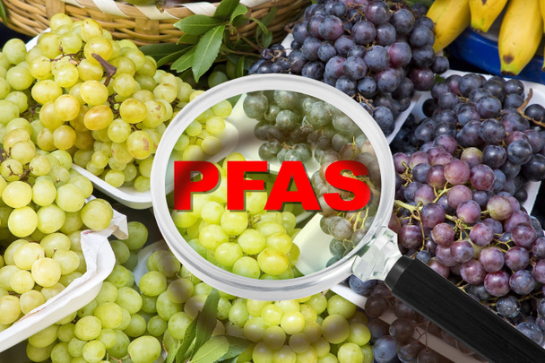 PFAS, PFOS, PFOA PFNA e PFHxS gevaarlijke synthetische stoffen - Waarschuwing voor verontreiniging van groenten en fruit - Foto, afbeelding