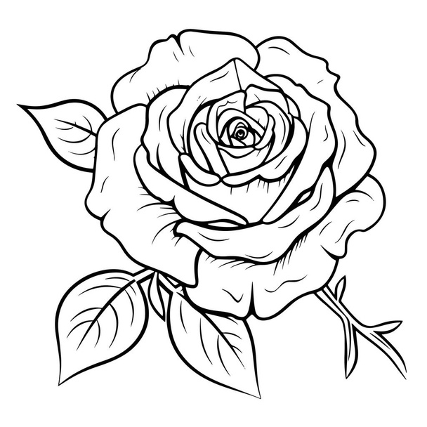 Timeless rose flower outline vector, ideal for elegant and romantic projects. - Vector, Image