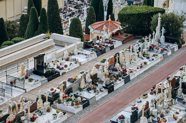 Monako, Monako - 18 listopada 2023: Widok na stary cmentarz w Księstwie Monako - Zdjęcie, obraz