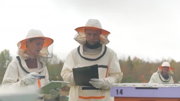 Colpo medio di squadra professionale di apicoltori in indumenti protettivi che prendono appunti negli appunti mentre ispezionano gli alveari colorati sul campo - Filmati, video