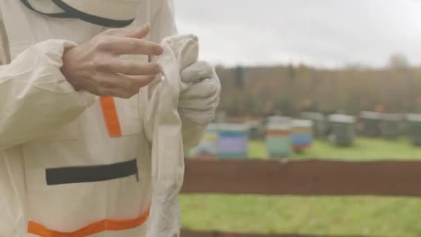Cultivado tiro de apicultor irreconocible ponerse guantes de protección antes de empezar a trabajar en el jardín de la granja en verano - Metraje, vídeo