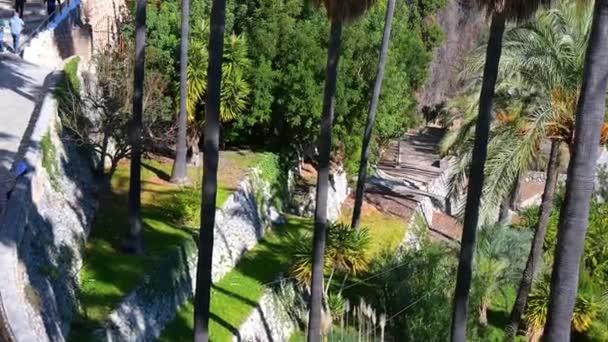 Castell de Guadelest, Alicante - Spanien 27.12.2023: Ein Rundgang von unten nach oben über einen von hohen Palmen gesäumten Garten, der in einem Blick auf eine Kapelle auf einem Berg gipfelt - Filmmaterial, Video