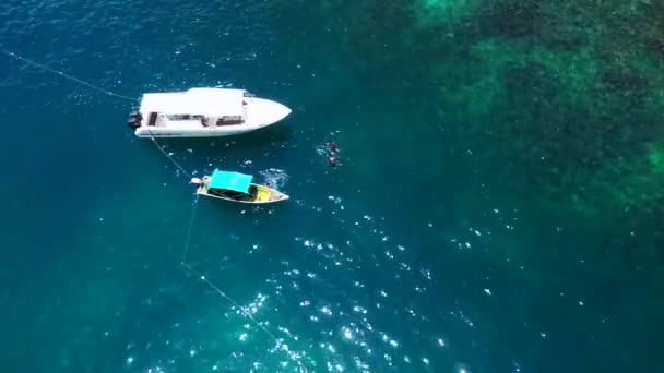 A cápákat búvárkodás közben etetik a csónakból. drón teteje a látóhatáron túl. Kiváló minőségű 4k felvételek - Felvétel, videó