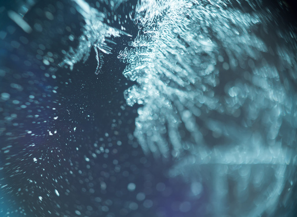 Supermacro van Frost patroon - Foto, afbeelding