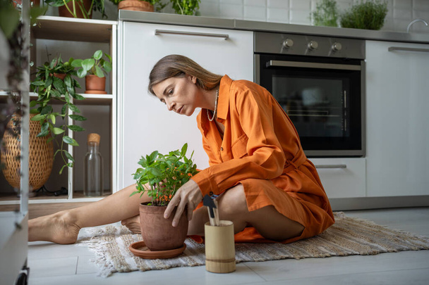 Konzentrierte Frau kümmert sich zu Hause um Zimmerpflanzen. Gemessenes Hobby bringt Gelassenheit. Pflanzenliebhaber achten auf Bepflanzung, Bewässerung, Düngung, Schnitt, Aufrechterhaltung der Wachstumsbedingungen der Setzlinge - Foto, Bild