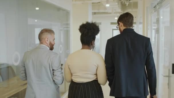 Vista posteriore della donna afroamericana che cammina con due partner commerciali attraverso il corridoio nell'ufficio moderno e che discute - Filmati, video