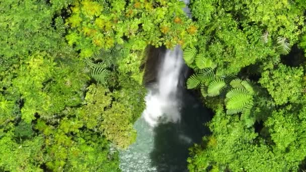 Водопад в зеленом лесу. Водопад Казароро в джунглях. Негрос, Филиппины. - Кадры, видео