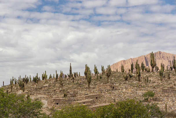 Pucara de Tilcara ruïnes in de provincie Jujuy in Argentinië. - Foto, afbeelding