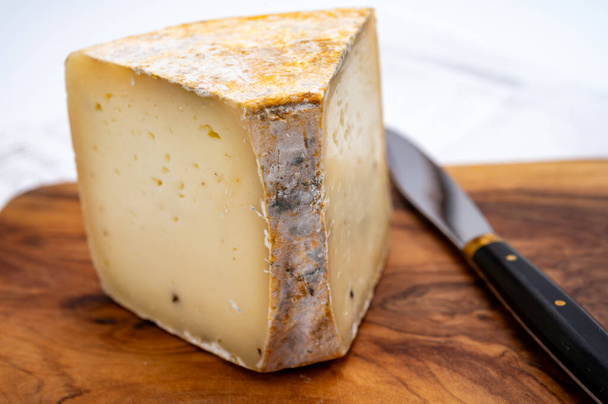 Nyári szarvasgombából készült kemény Ciambella Trufilo sajt Piemonte tehéntejből Langa régióban, Olaszországban - Fotó, kép