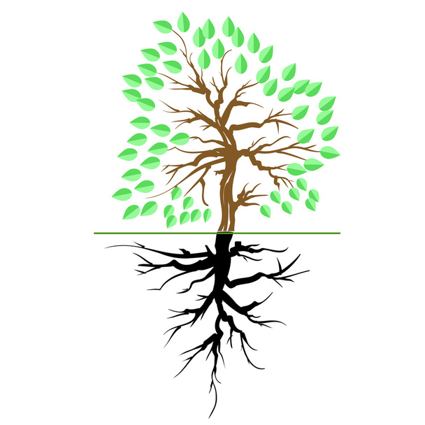 Πράσινο δέντρο με ρίζα - Διάνυσμα, εικόνα