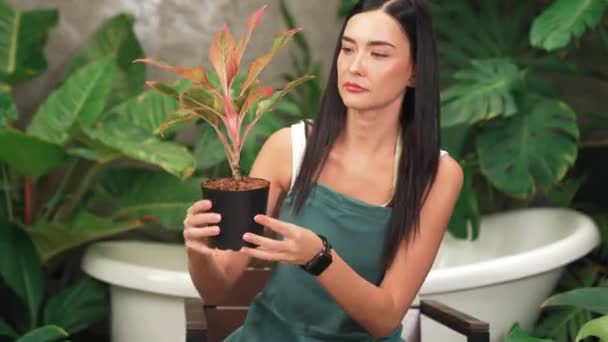 Young female gardener tending and cultivate to tropical plant in minimalist architectural concrete style summer exotic plant foliage garden, home gardening for environmentalist lifestyle. Blithe - Footage, Video
