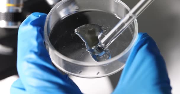 Bilim adamı petri 'yi zehirli jel sıvısı ve pipetle laboratuarda tutuyor. Kimyasal sıvıların araştırılması - Video, Çekim