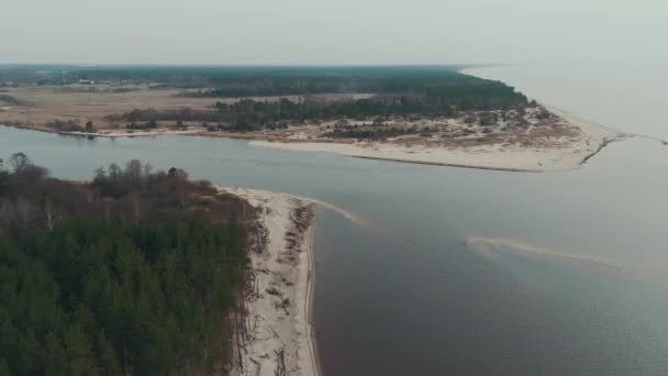 Rzeka Gauja wpada do Zatoki Bałtyckiej w Rydze. Złamane sosny po burzy i zmyte brzegi. Trunks Drzewo umył brzeg na wybrzeżu plaży z Eroded Beach - Materiał filmowy, wideo