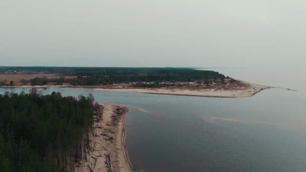 Gauja joki virtaa Riianlahdelle Itämerelle. Murtuneita mäntyjä myrskyn jälkeen ja huuhtoutuneita rantoja. Puu rungot pestiin rannalla rannalla rannalla Eroded Beach
 - Materiaali, video