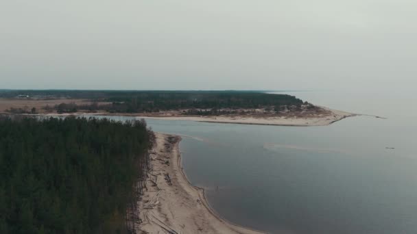 Річка Гауя впадає в Ризьку затоку Балтійського моря. Розбитий Шторм після бурі і затоплений берег. Дерев "яні стовбури промивали пляж на березі моря - Кадри, відео