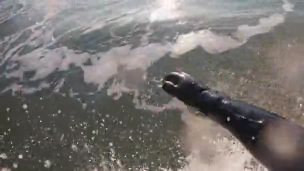 サーフボードでのサーファーは,壊れた波に乗っています. 日の出に海でサーフィンする最初の人物の視点. 高品質の4k映像 - 映像、動画