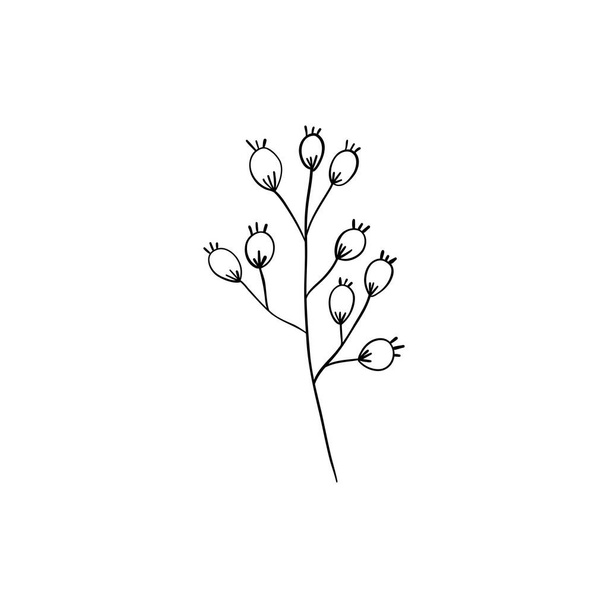 Kasvitieteellinen lineaarinen lehti. Abstrakti minimalistinen lehdet kokoelma, luova kasviperäisten taidetta. Vektoriesimerkki - Vektori, kuva