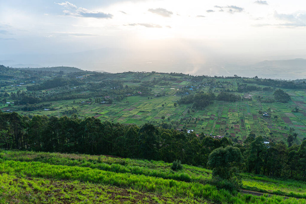 Сцена обширной плантации в чайном поместье недалеко от Каройта, Западная Кения, с видом на Большую рифтовую долину. кусты на переднем плане. Кения, Африка. Камелия китайская. - Фото, изображение