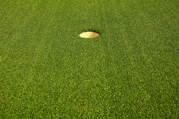 Golf hole on the green grass - Foto, Bild