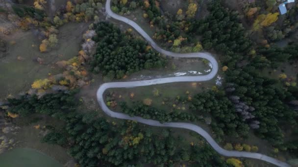 kronkelende weg in het bos - Video