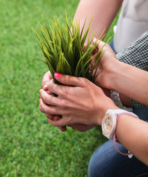 Close-up of people hands holding plant together - Photo, image