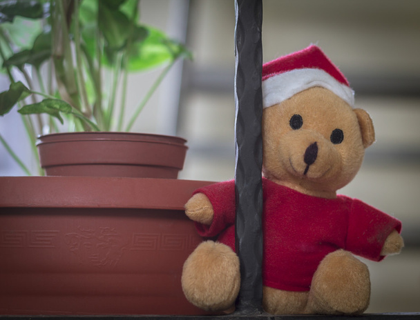 Teddy bear near a pot - Photo, Image