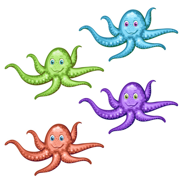 Octopus - Vektor, kép