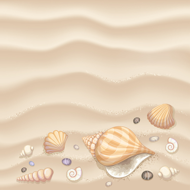 Fondo con conchas marinas
 - Vector, imagen