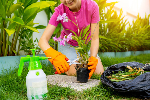 A young woman takes care of the garden, waters, fertilizes and prunes plants. - Foto, imagen