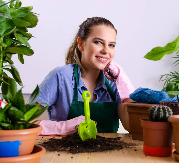 Nuori nainen puutarhuri kasvien kanssa sisätiloissa - Valokuva, kuva