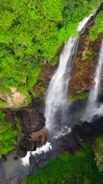 Красивый водопад среди тропических лесов и растительности. Вид с воздуха на водопад Пуна Элла. Шри-Ланка. Вертикальное видео. - Кадры, видео